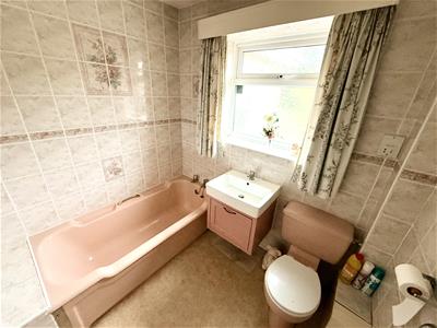 Picture 13